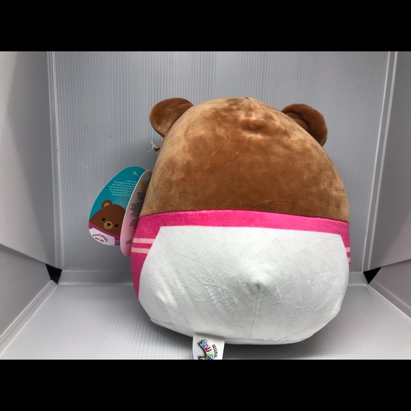 NWT Hilary the Bear 8in Squishmallow Series 42 "Kind People Are My Kind..." - Picture 3 of 5
